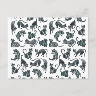 Cartão Postal Posições do gato - paleta preta