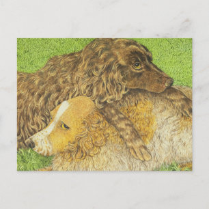 Cartão Postal Posse