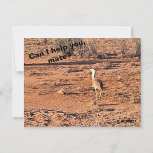 Cartão Postal Posso ajudá-lo, amigo?