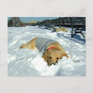 CARTÃO POSTAL POSSO FICAR AQUI?