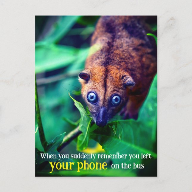 Cartão Postal Possum de Olhos Grandes (Frente)