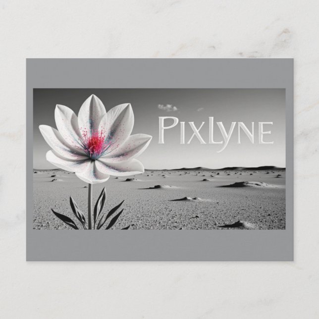 Cartão Postal Post Card (andrew) (Frente)