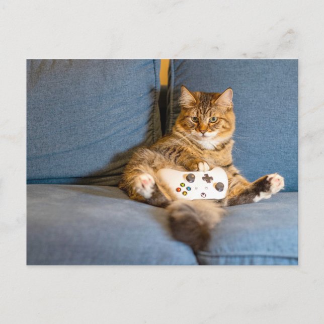Cartão Postal Postagem de Gamer (Frente)