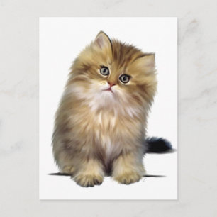 Cartão Postal Postais de Gatinho Precioso