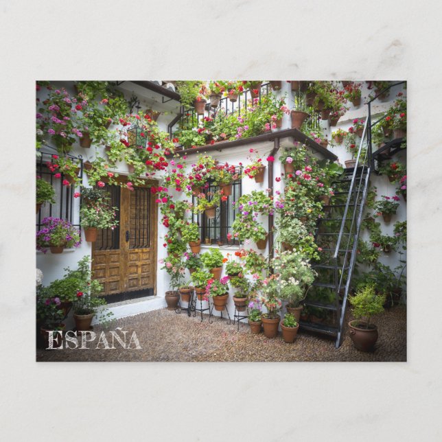 Cartão Postal postal páo andaluz en Córdoba, España (Frente)