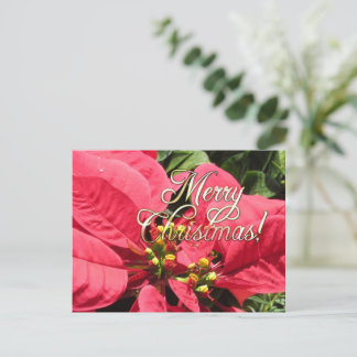 Cartão Postal Postal Xmas 002 - Postcard