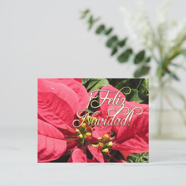 Cartão Postal Postal Xmas 002 -Spanish  - Postcard (Em pé/Frente)