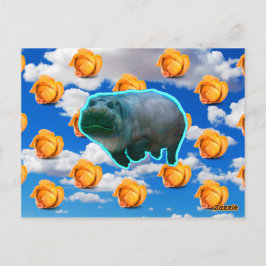 Cartão Postal Postar placa 1