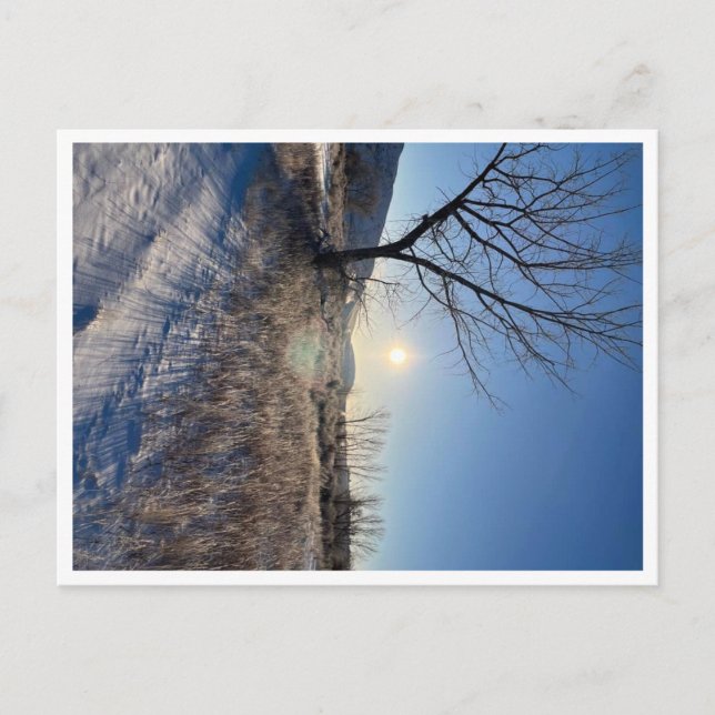 Cartão Postal Postar placa, tamanho: Cartão-postal padrão, Papel (Frente)