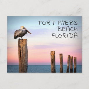 Cartão Postal Postas e um Pelicano Fort Myers Beach, Florida