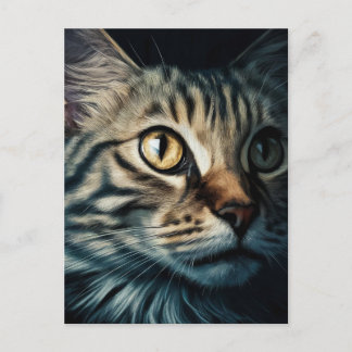 Cartão Postal Postcard