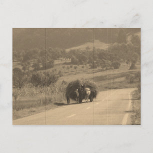 Cartão Postal Postcard