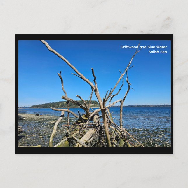 Cartão Postal Postcard (Frente)