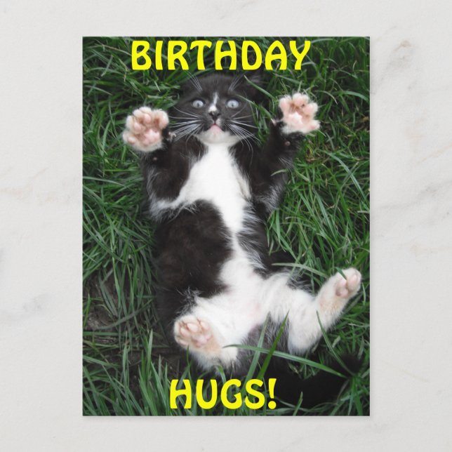 Cartão Postal Postcard Birthday Hugs (Frente)