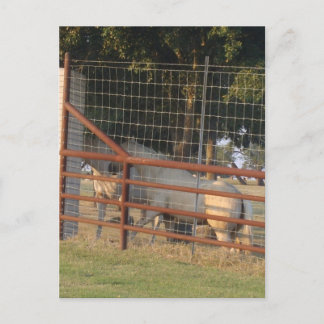 Cartão Postal PostCard de intervalo