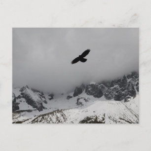 Cartão Postal Postcard Eagle Snowy Mountains
