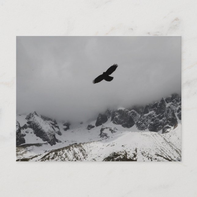 Cartão Postal Postcard Eagle Snowy Mounties (Frente)