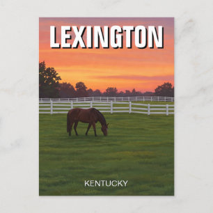 Cartão Postal Postcard Horse Sunset - Lexington Kentucky
