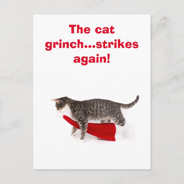 Cartão Postal Postcard Humor Katze schleppt Weihnachtsmütze weg (Frente)