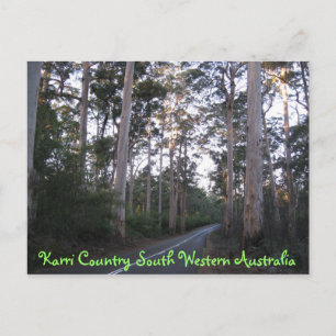 Cartão Postal POSTCARD - Karri País Sudeste da Austrália