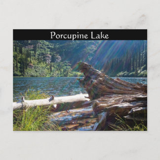 Cartão Postal POSTCARD ~ "Lago Porcupine" perto de Clark Fork, I