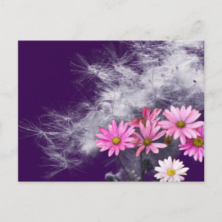 Cartão Postal Postcard Postkarte Blumen und Distelsamen