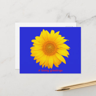 Cartão Postal Postcard Postkarte Sonnenblume Liebe Grüße
