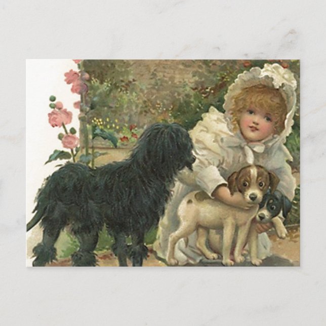 Cartão Postal Postcard Promo Rescue e saude Adoção de Pet (Frente)