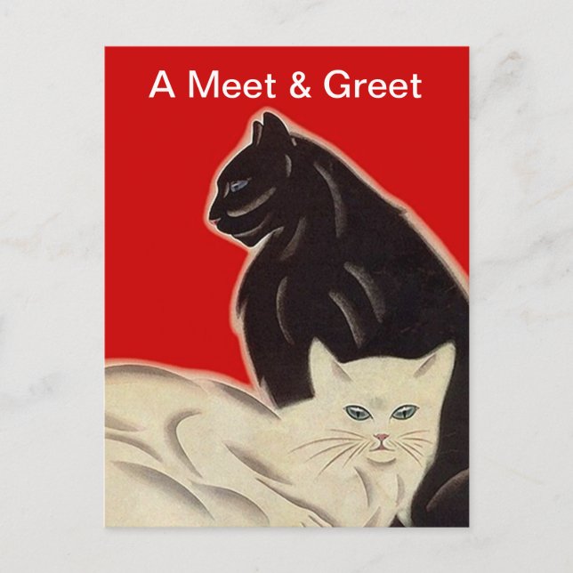 Cartão Postal Postcard Promo Rescue e saude Adoção de Pet (Frente)