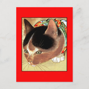 Cartão Postal Postcard: Vintage Cat Art: "Curious Kitty Cat"