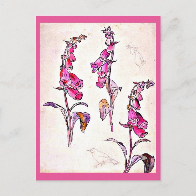 Cartão Postal Postcard-Vintage Ilustration-Beatrix Potter 13 (Frente)