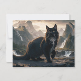 Cartão Postal Postcards Cat Série 11 17