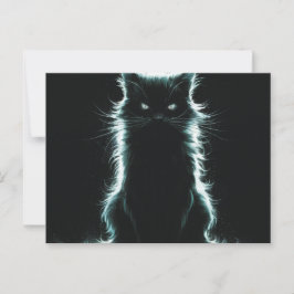 Cartão Postal Postcards Cat Série 12 03