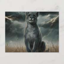 Postcards Divers Série 1