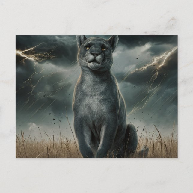 Cartão Postal Postcards  Divers  Série 1 (Frente)