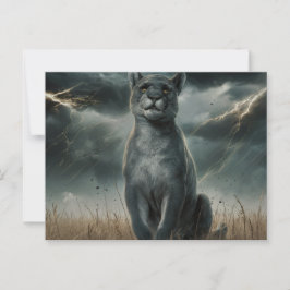 Cartão Postal Postcards Divers Série 1