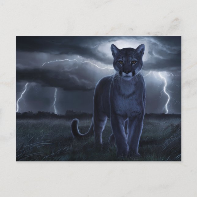 Cartão Postal Postcards  Divers  Série 1 02 (Frente)