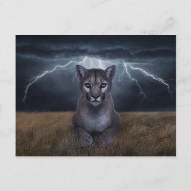 Cartão Postal Postcards  Divers  Série 1 03 (Frente)