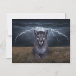 Cartão Postal Postcards Divers Série 1 03