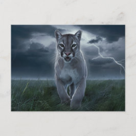 Cartão Postal Postcards Divers Série 1 04