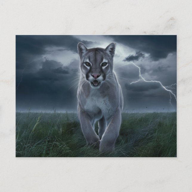 Cartão Postal Postcards  Divers  Série 1 04 (Frente)