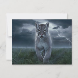 Cartão Postal Postcards Divers Série 1 04