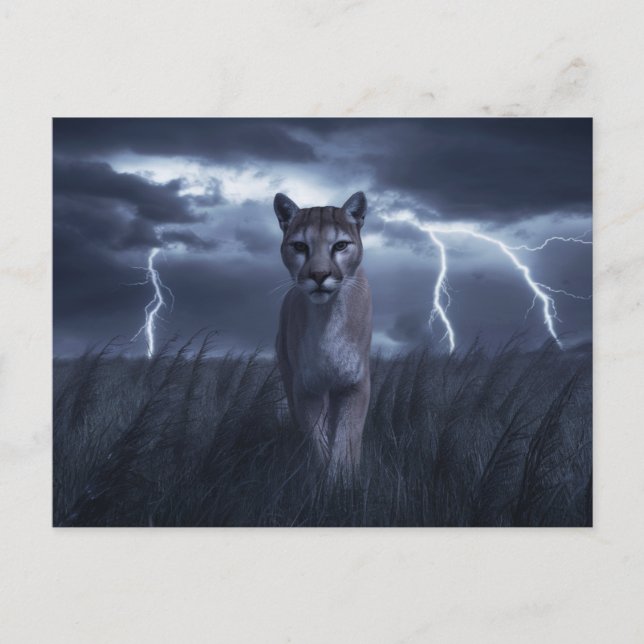 Cartão Postal Postcards  Divers  Série 1 05 (Frente)