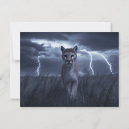 Cartão Postal Postcards Divers Série 1 05