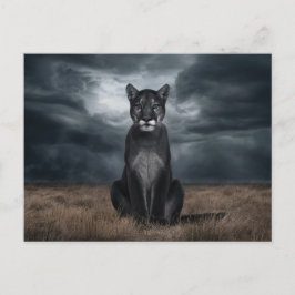 Cartão Postal Postcards Divers Série 1 06