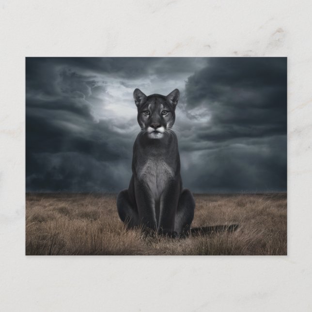 Cartão Postal Postcards  Divers  Série 1 06 (Frente)