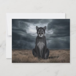 Cartão Postal Postcards Divers Série 1 06