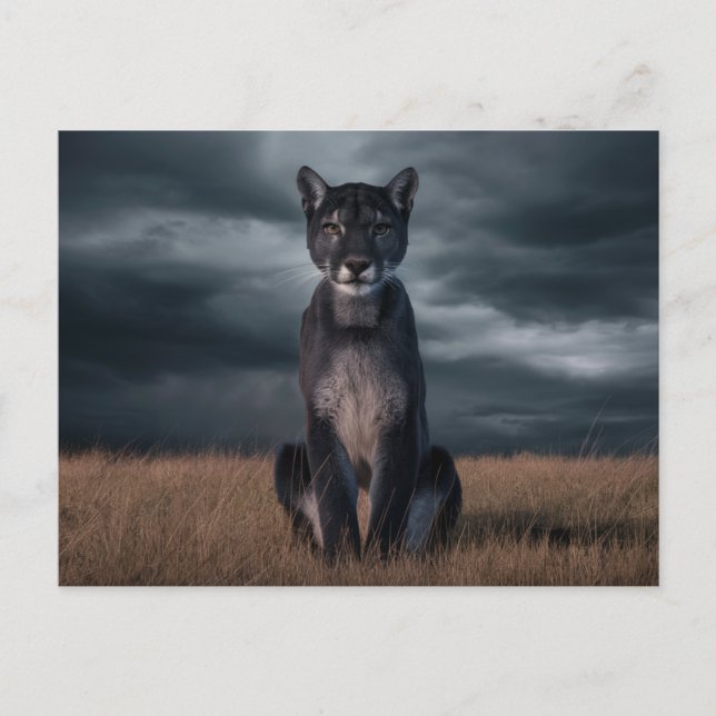 Cartão Postal Postcards  Divers  Série 1 07 (Frente)