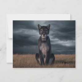 Cartão Postal Postcards Divers Série 1 07