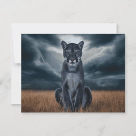 Cartão Postal Postcards Divers Série 1 08